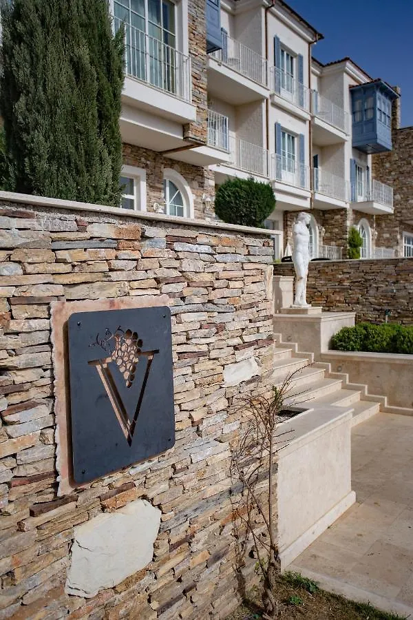Vinifera Ephesus Hotel 塞尔丘克