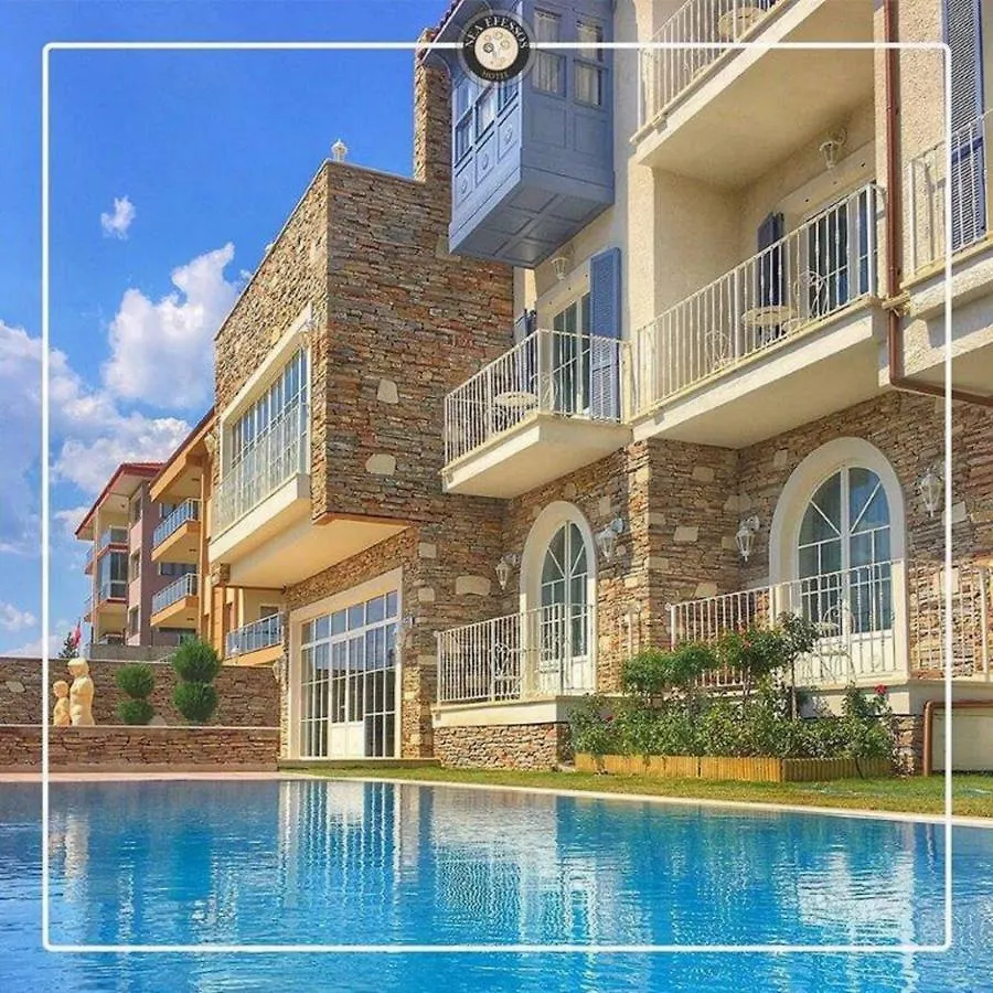 Vinifera Ephesus Hotel 塞尔丘克 3*,