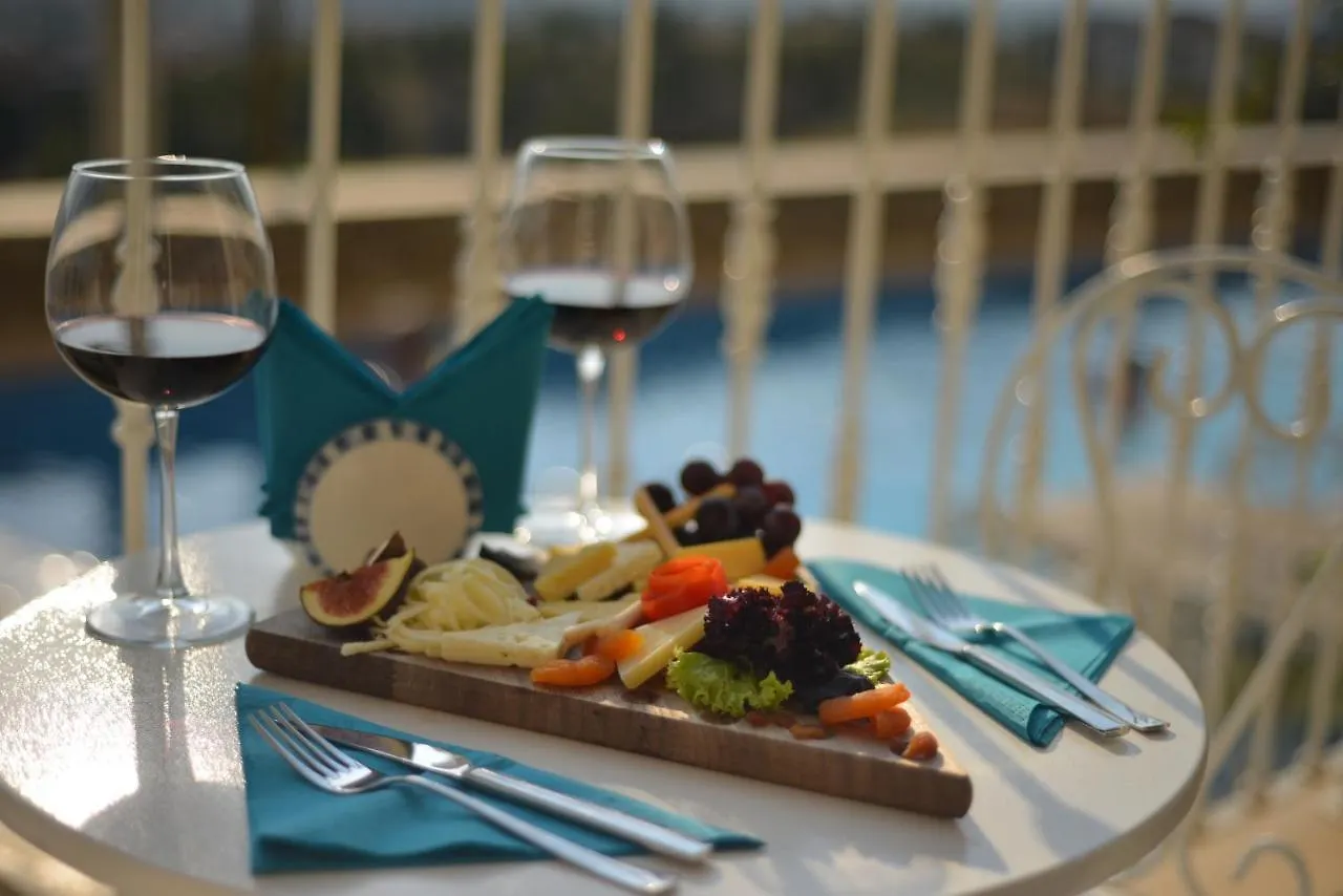Vinifera Ephesus Hotel 塞尔丘克